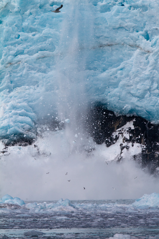 Aialik Glacier Calving Into Ocean